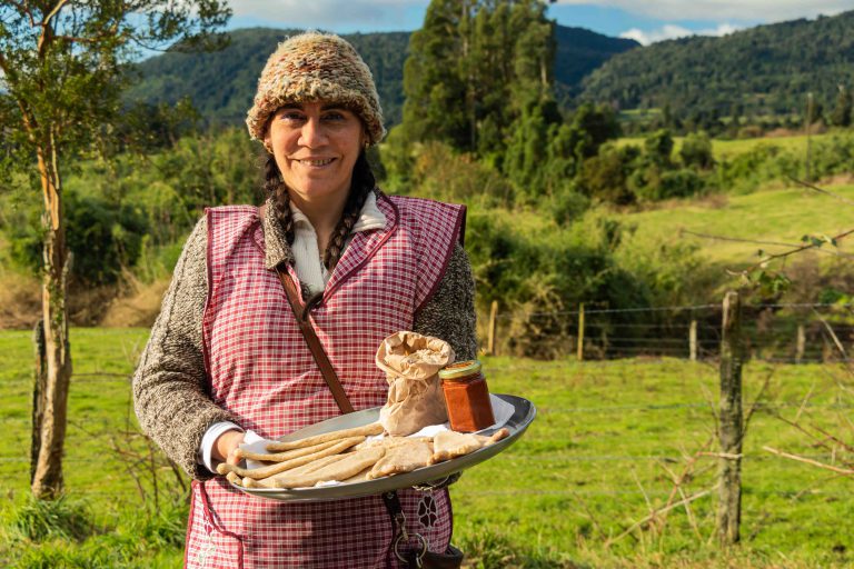 Fondo concursable para emprendedores de la comuna de Puyehue por emergencia covid 19