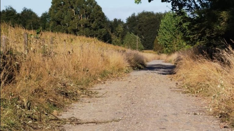 MEJORAMIENTO CAMINOS NO ENROLADOS DE PUYEHUE