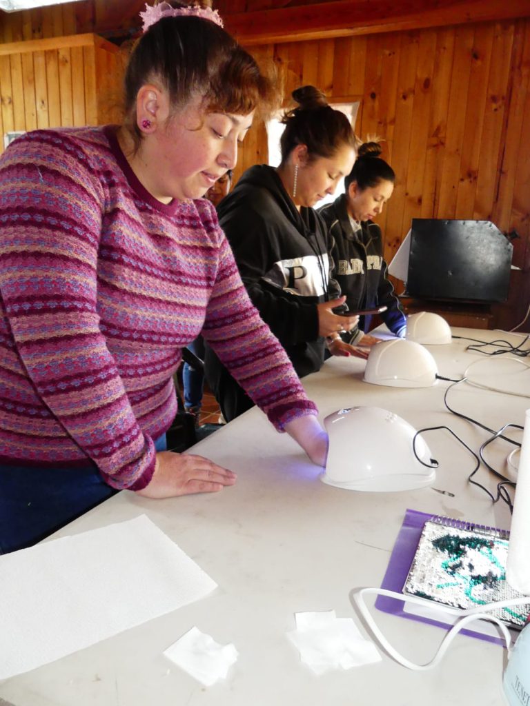 Programa Familias, seguridades y oportunidades de la Municipalidad de Puyehue