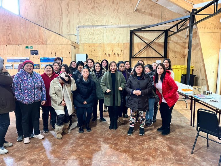 Oficina de la Mujer de Puyehue capacita a 30 personas en fabricación de jabones energéticos