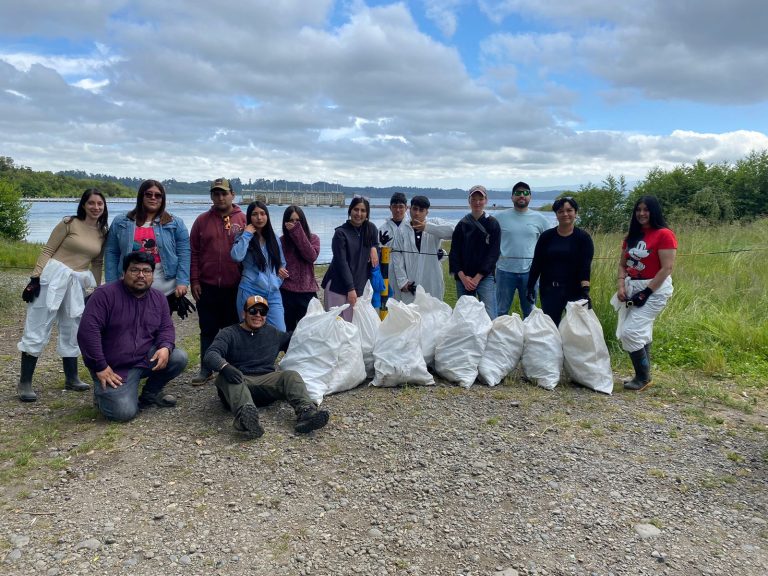 Exitosa jornada de limpieza en la costanera del Lago Puyehue